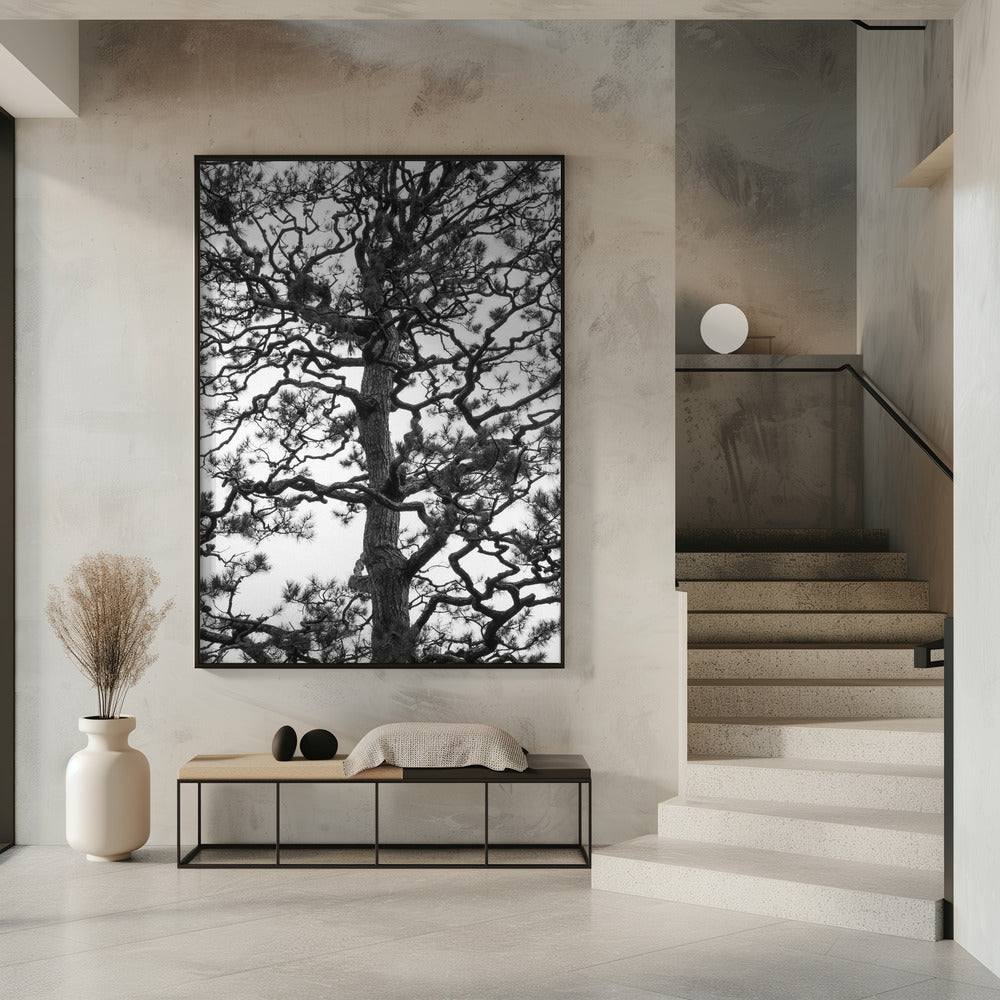 Japanese Garden 03 Poster