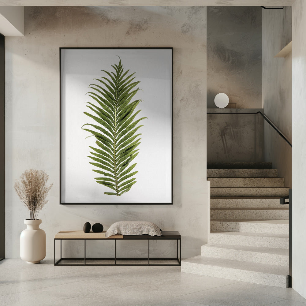 Leaf Study 01 Poster