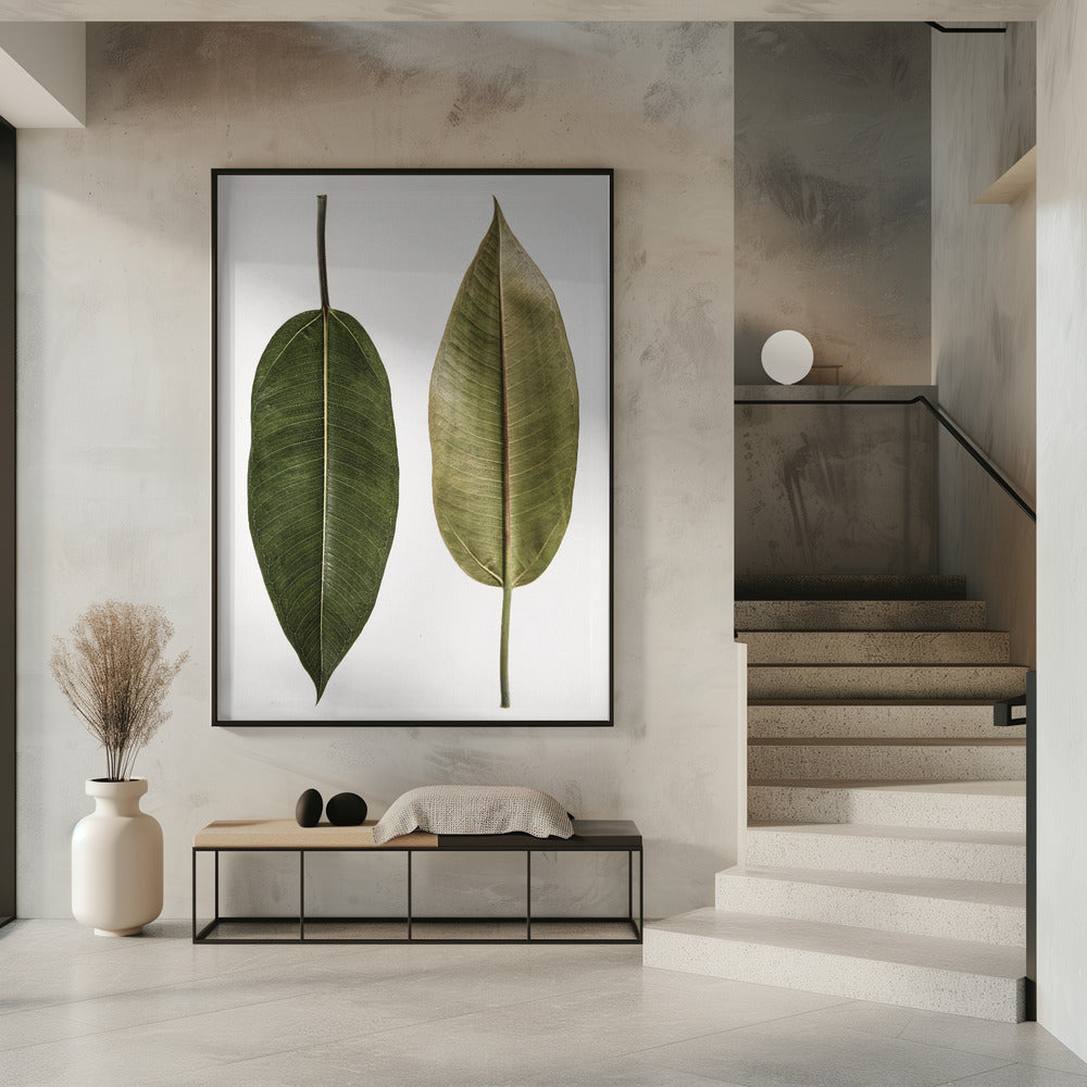 Leaf Study 05 Poster