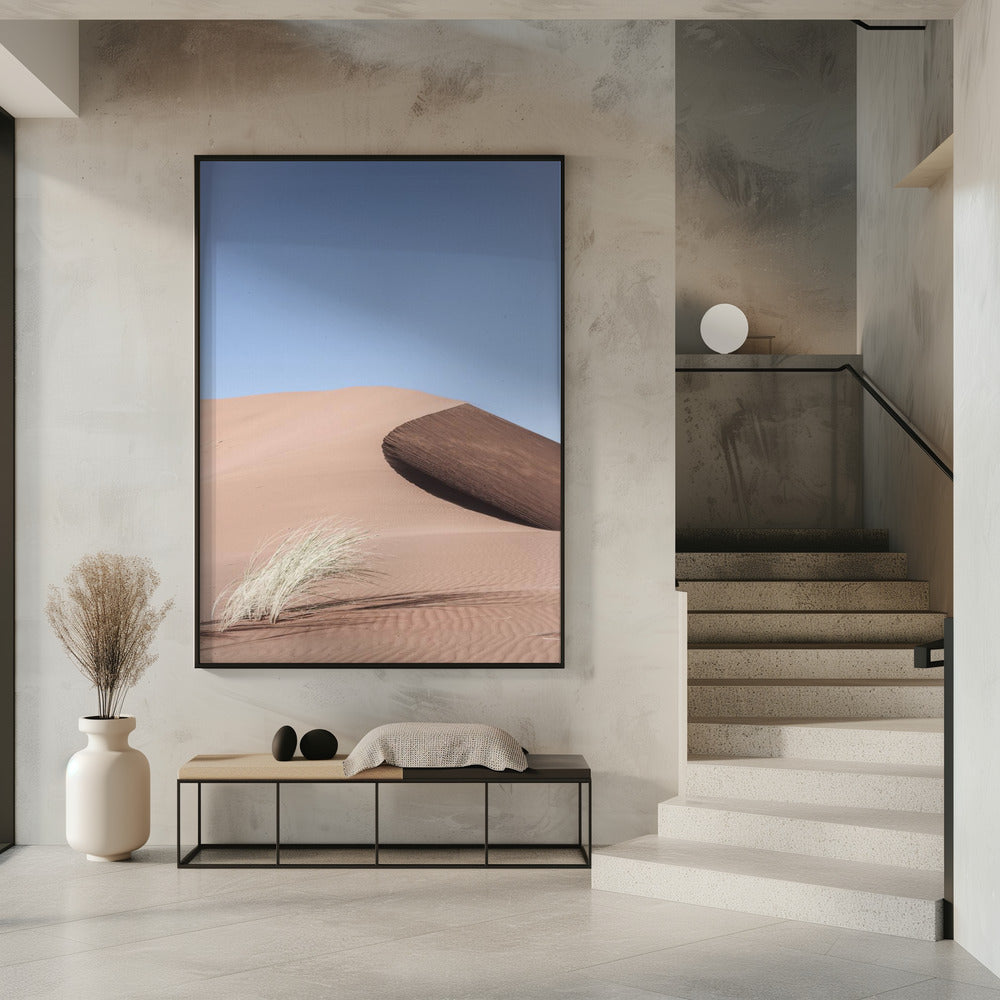 Namib Two Poster