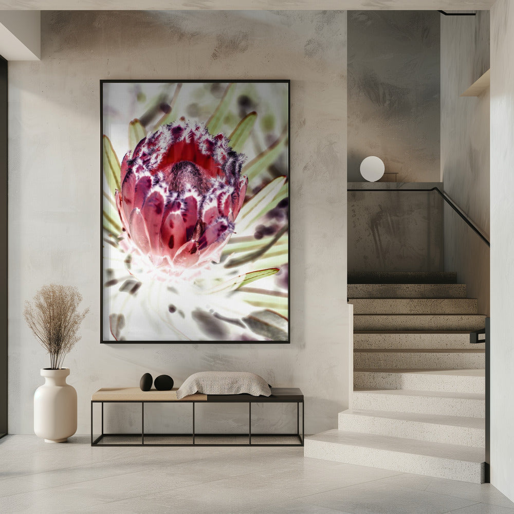 Wild Protea Poster