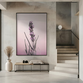 Pastel Lavender Poster