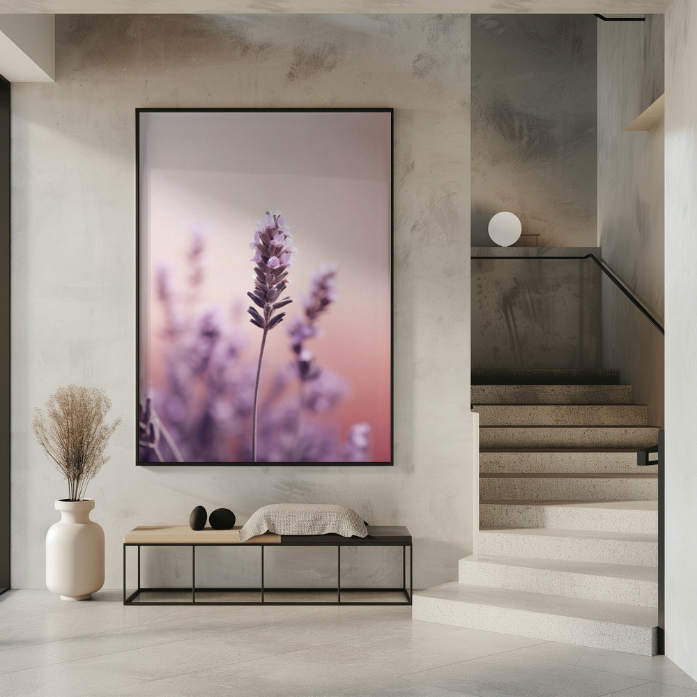 Lavender Detail Poster