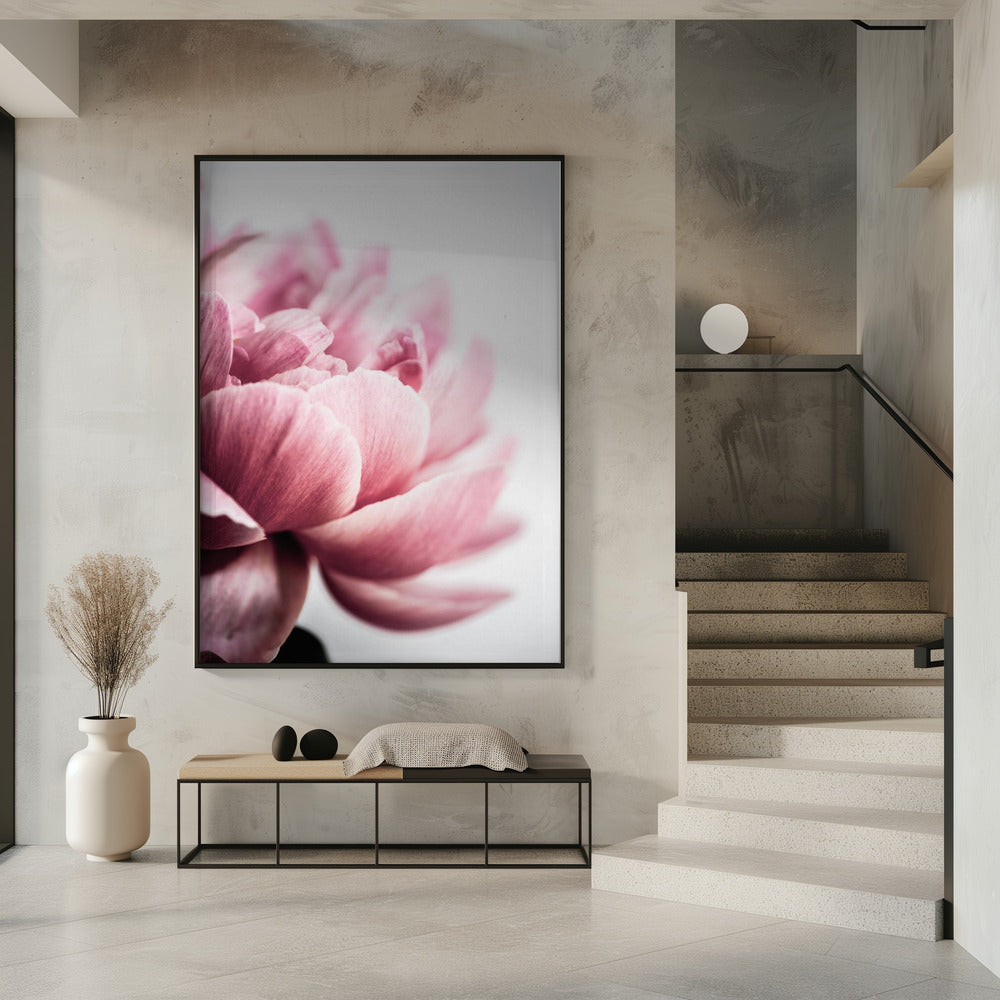 Peony 1 Poster