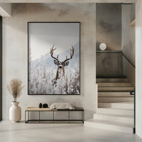 Curious Deer Poster