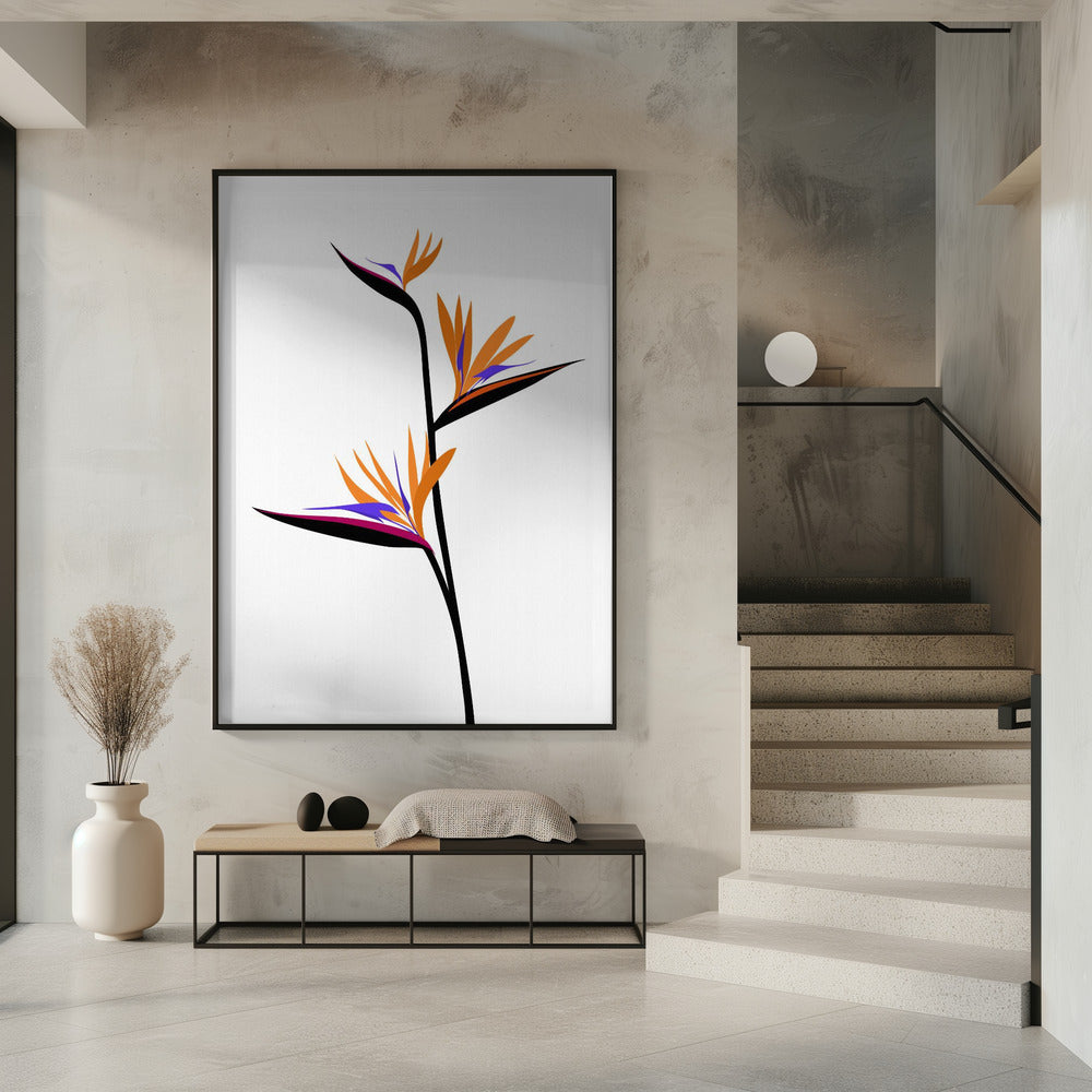 Bird of paradise in black Poster