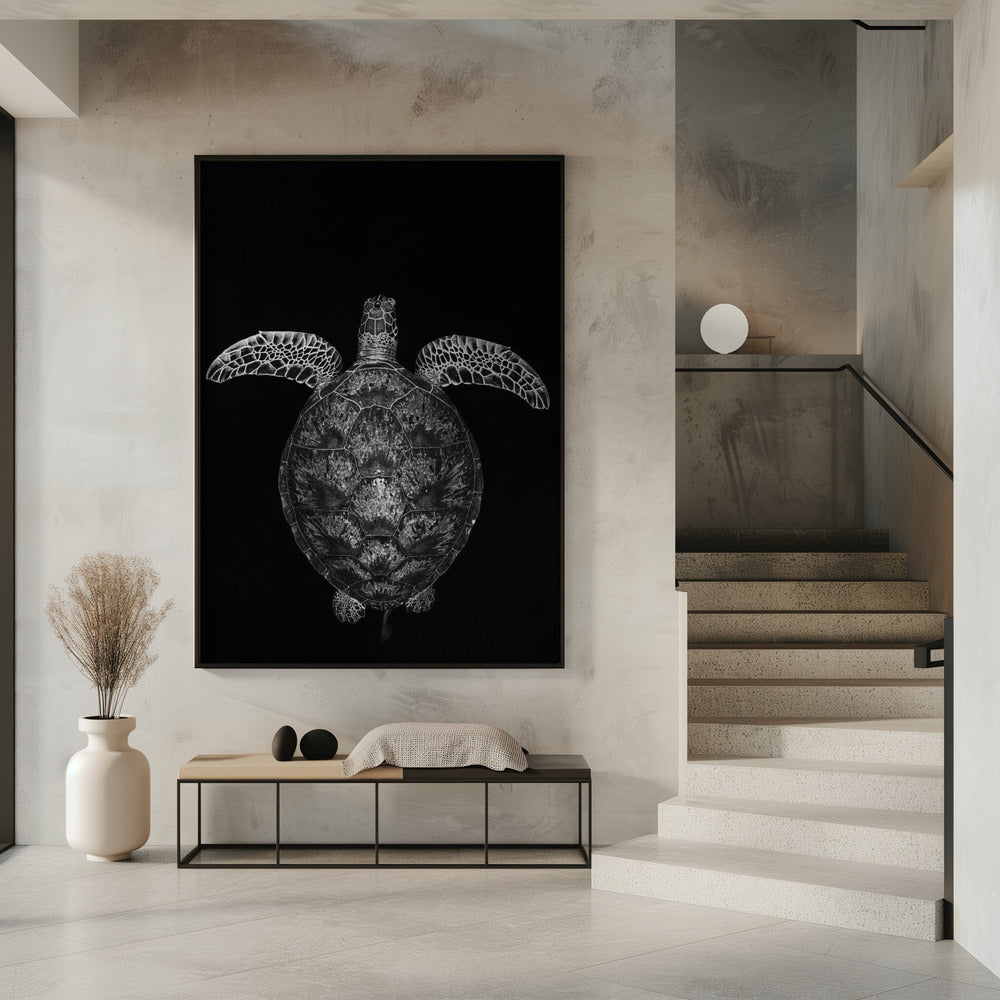 Green turtle on black and white Poster