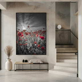 Gorgeous sunset in a poppy field | colorkey Poster