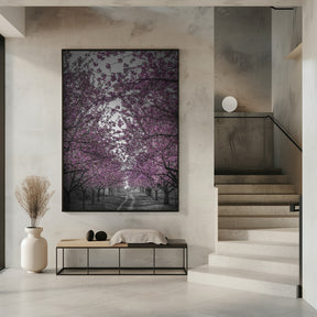 Amazing cherry blossom alley in pink Poster