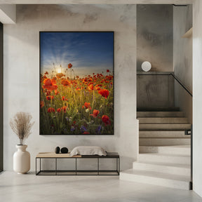 Gorgeous sunset in a poppy field Poster