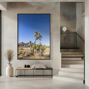 Idyllic Joshua Tree National Park Poster