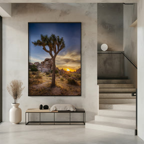 Charming sunset at Joshua Tree National Park Poster