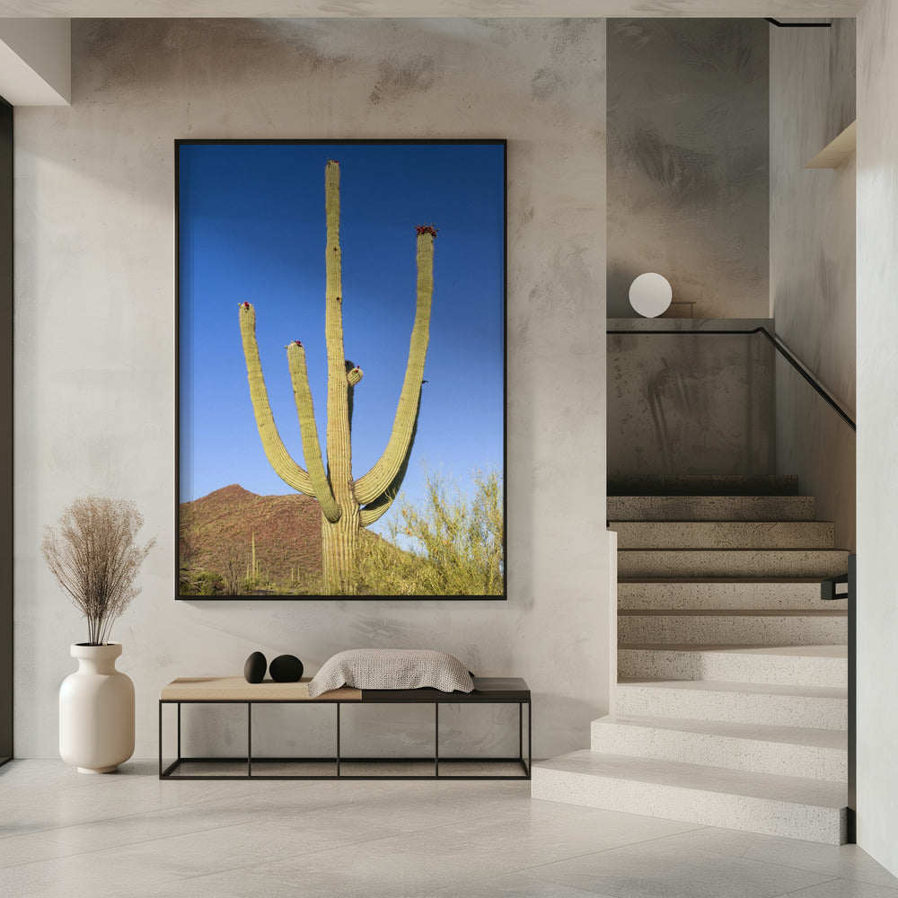 SAGUARO NATIONAL PARK Giant Saguaro Poster