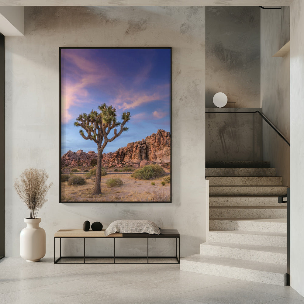 Joshua Tree Evening Atmosphere Poster