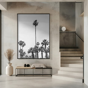 Palm Trees at the beach | monochrome Poster