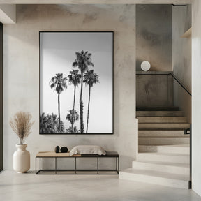 Palm trees | monochrome Poster