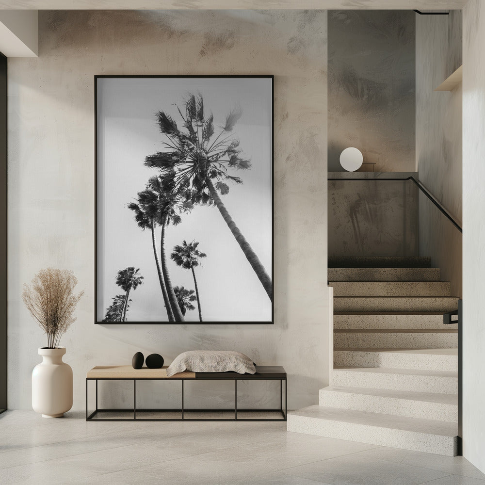 Palm trees in the sun | monochrome Poster