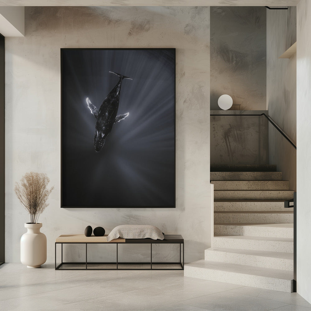 Light and Whale Poster