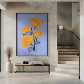 Bouquet of orange California poppies Poster