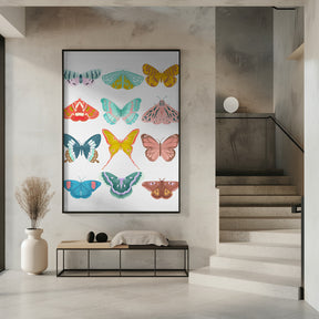 Butterfly Poster