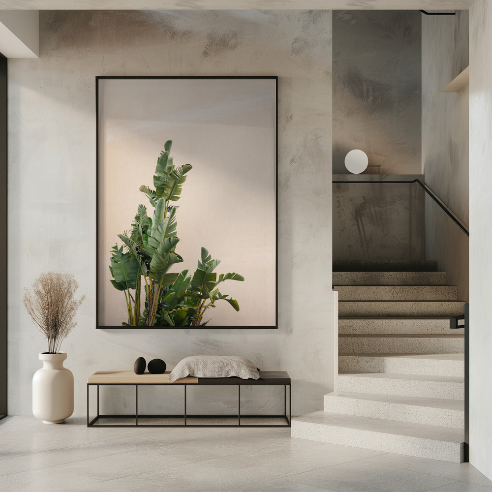 Botanical Cannes Poster