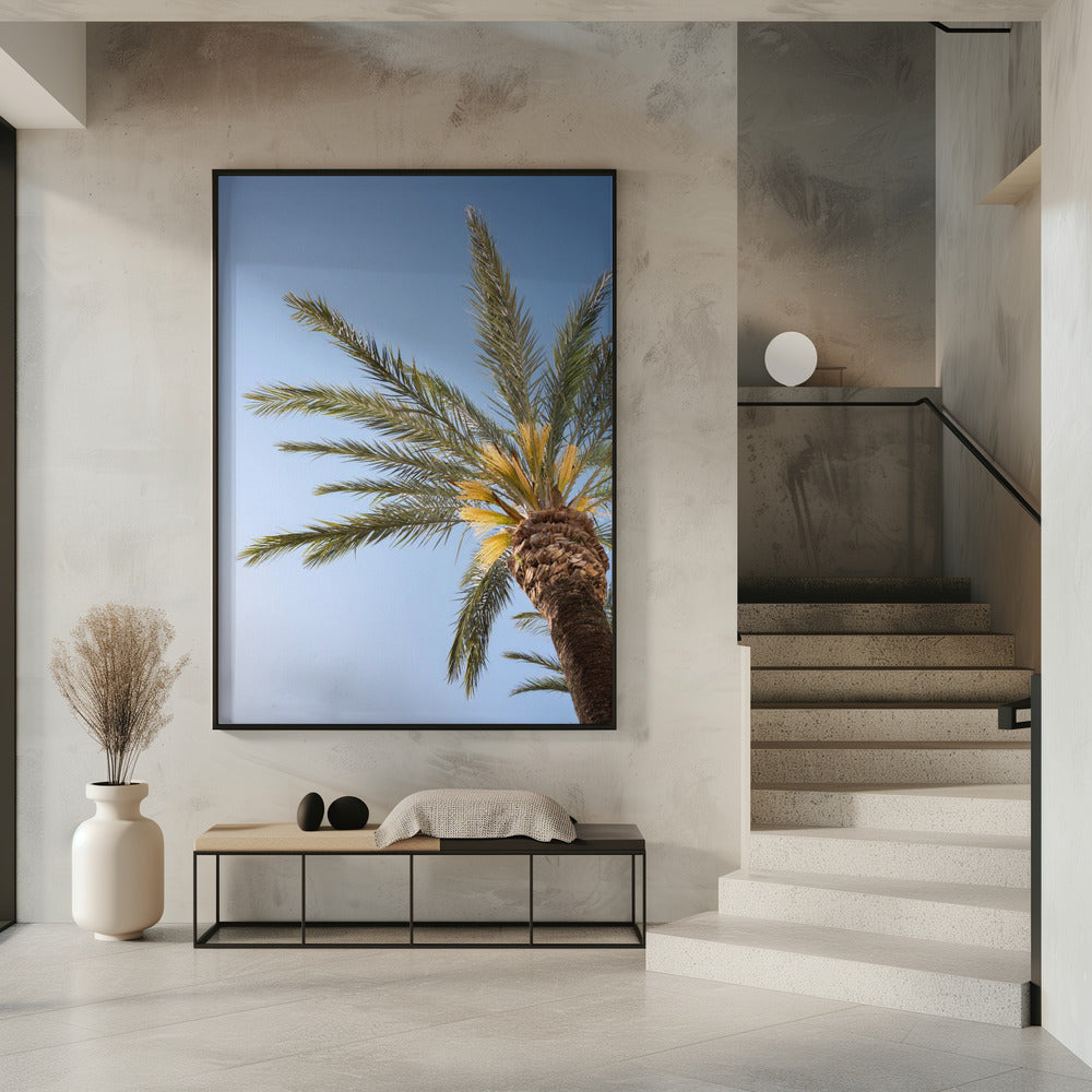 Vejer de La Frontera Palm Tree Poster