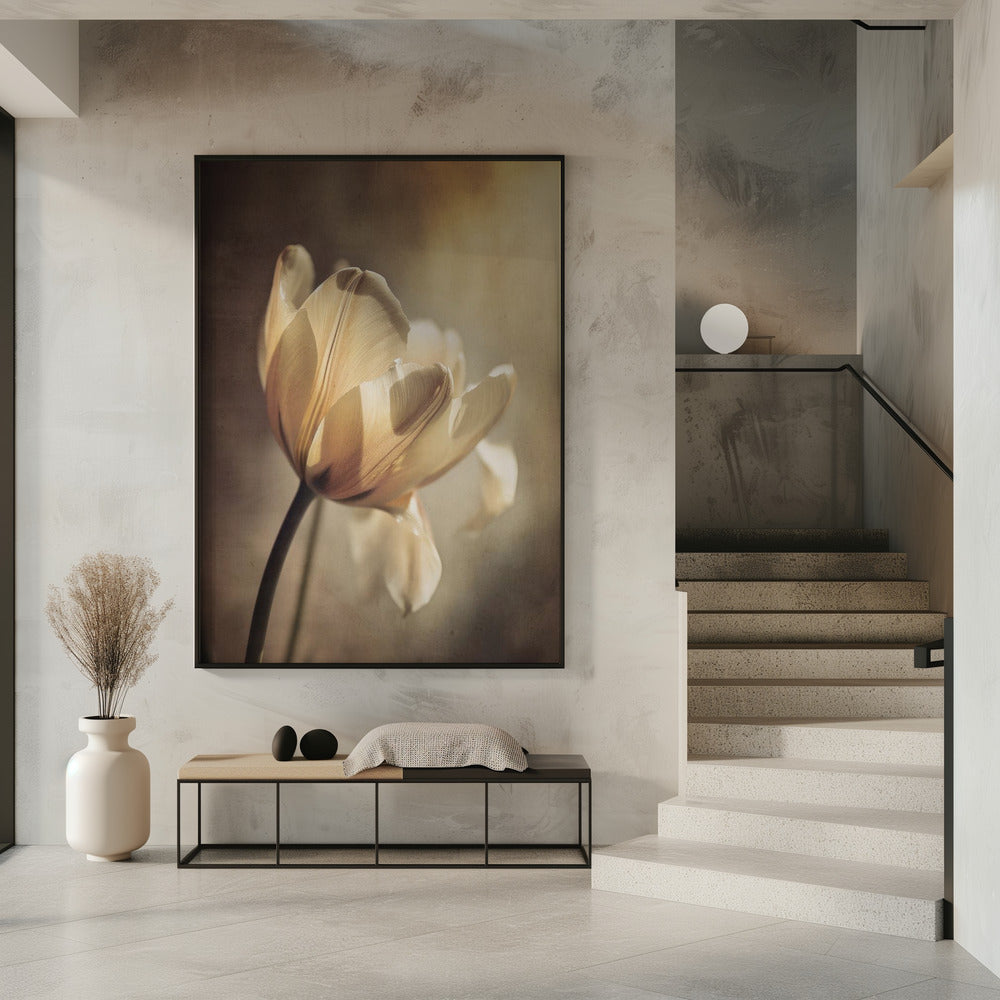 Pastel Tulip Poster