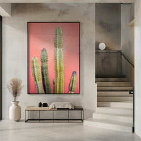 Pretty Pink Cactus Marrakech Poster