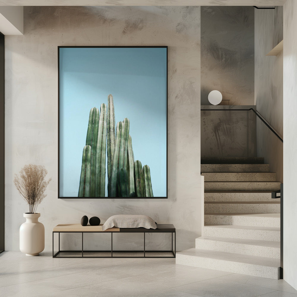 Tall Cacti Poster