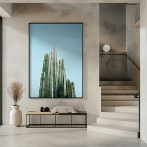 Tall Cacti Poster