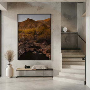 Ventana Canyon Poster