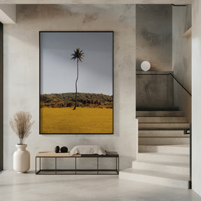 Puerto Rican Palm Tree Poster