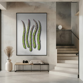 Asparagus Poster