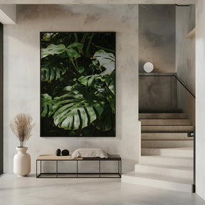 Monstera Leaves Poster