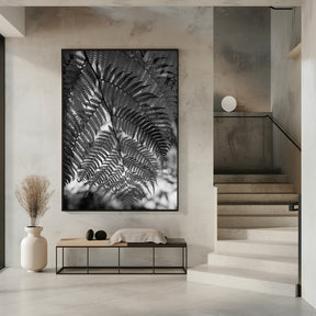 Fern in Black White Poster