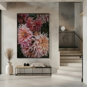 Pink Dhalias Poster