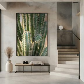 Gold &amp; Green Cacti Marrakech Poster