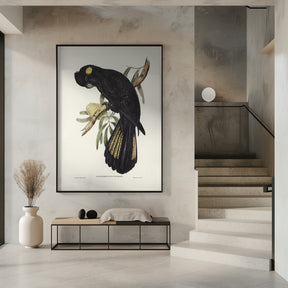 Funereal Cockatoo Poster