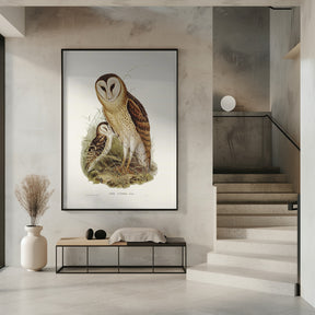 Grass Owl Poster