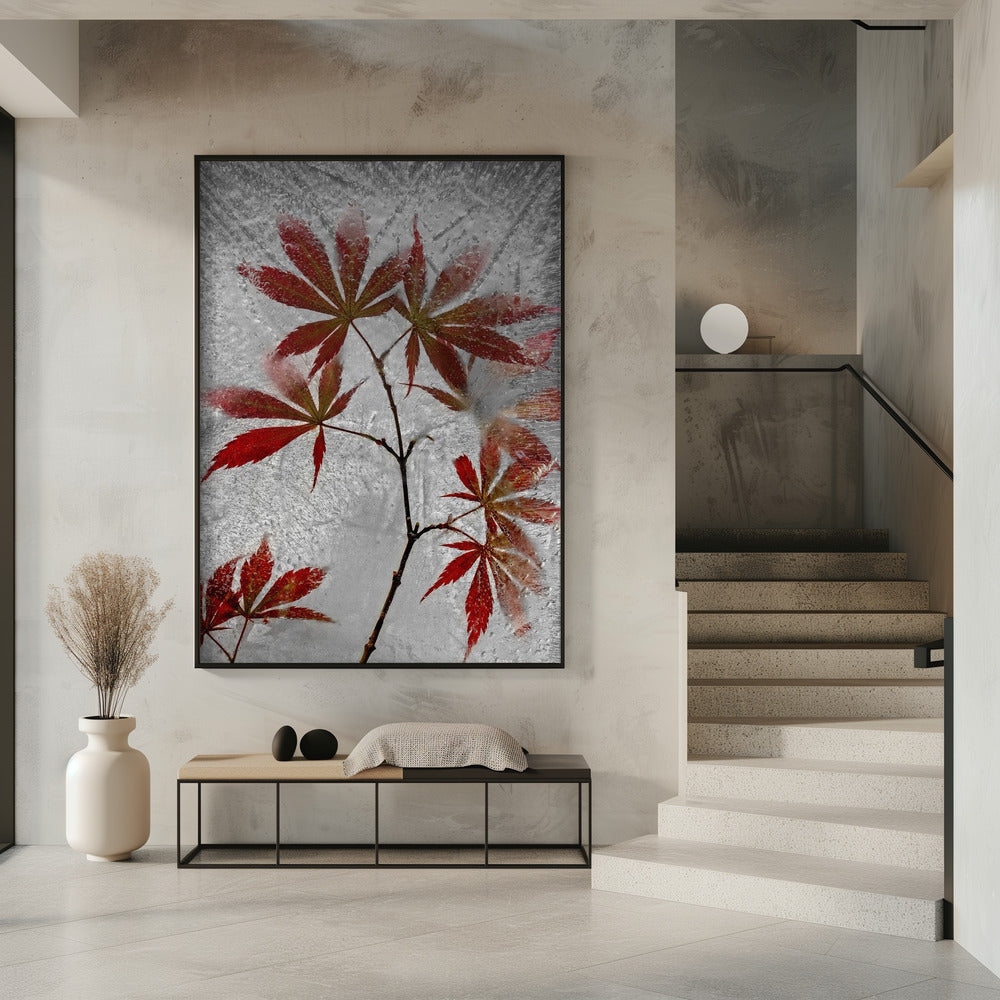 red maple Poster