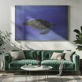 Green turtle in the blue Poster