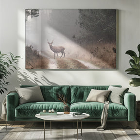 Deer Poster