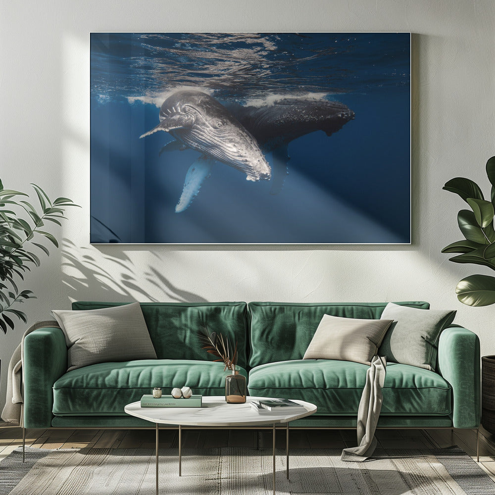 Humpback Whale family! Poster