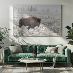 Late Fall Yellowstone Poster