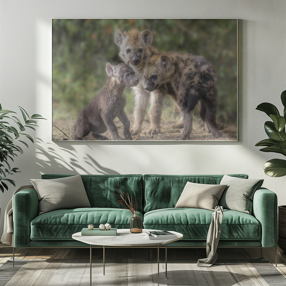 Baby Hyena Poster