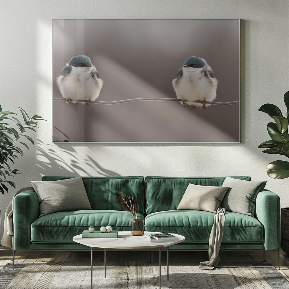 Birds on a wire Poster