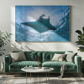 Manta ray Poster