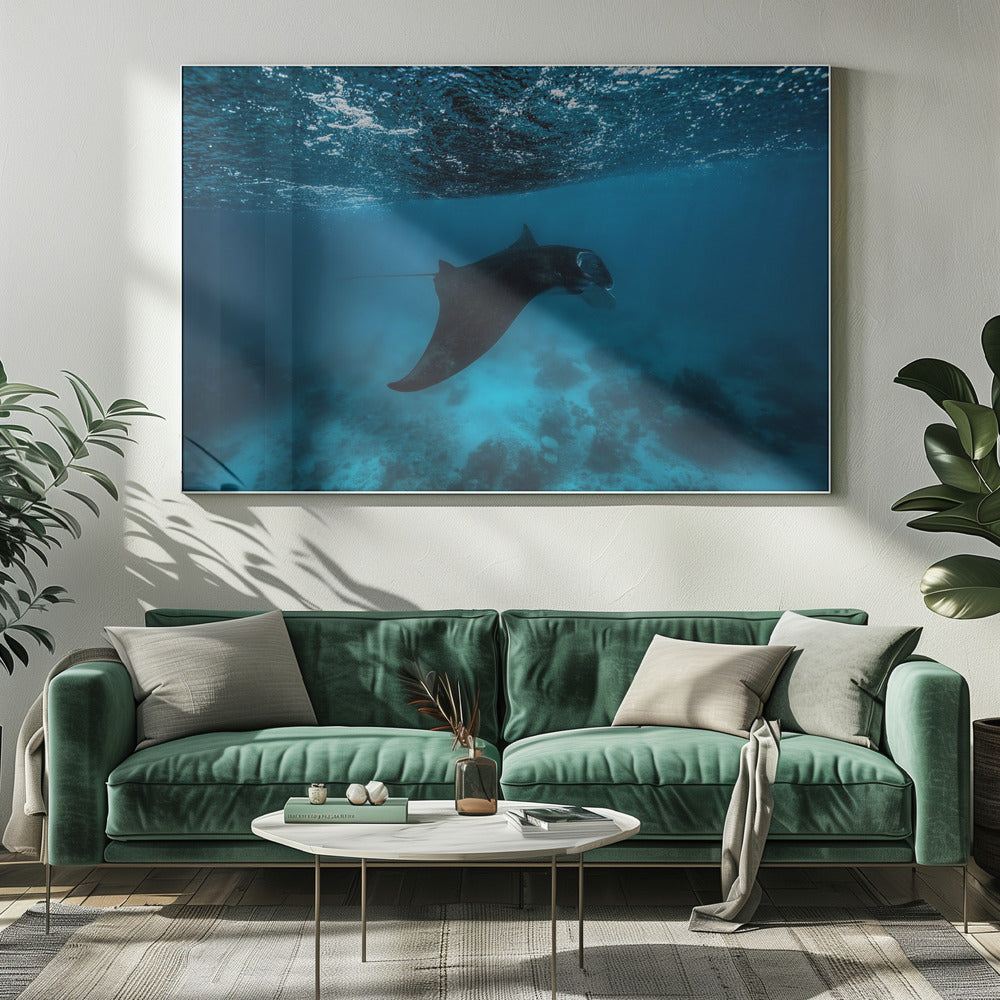 Manta Ray Poster