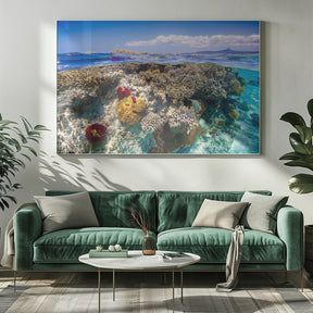 Mayotte : The Reef Poster