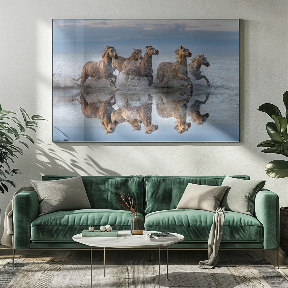 Horses and reflection Poster